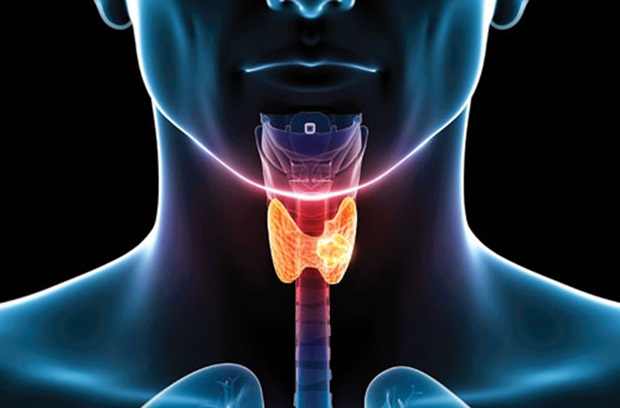 Thyroid illustration teaser image