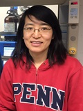 Kuiying Xu, PhD, Research Scientist, Radiopharmaceutical Chemistry and Biology Lab