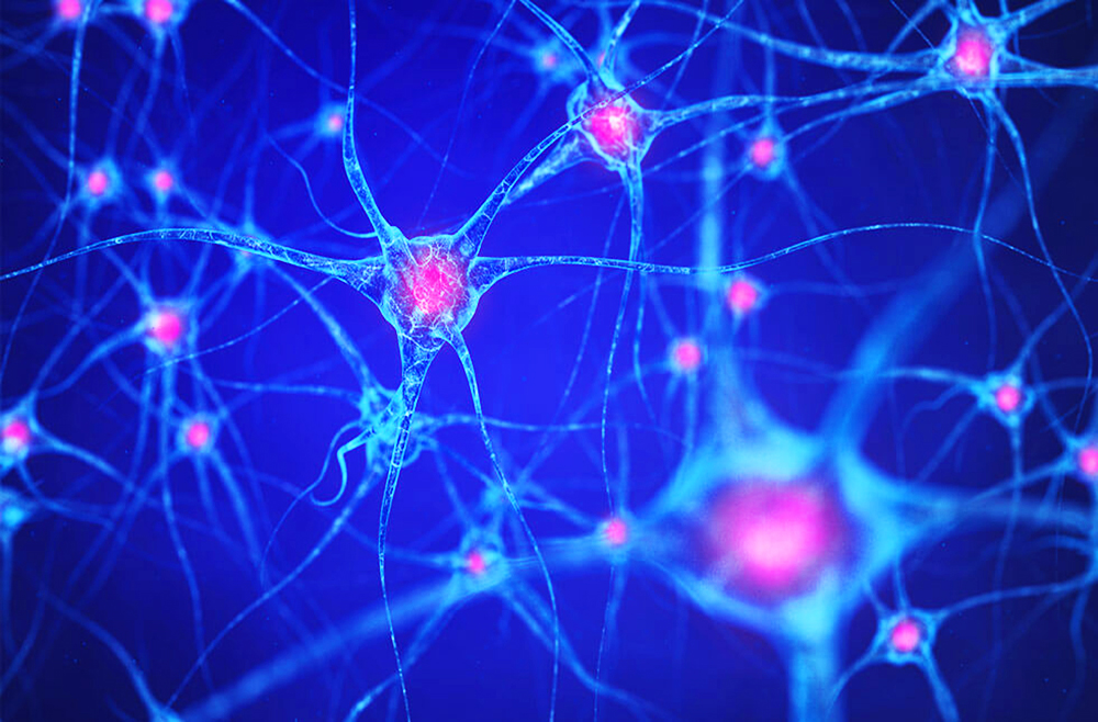 Multiple sclerosis neurons