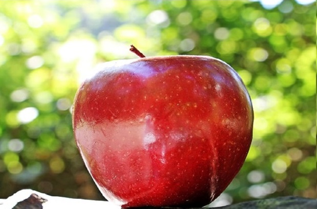 Image of an apple outside in the sun