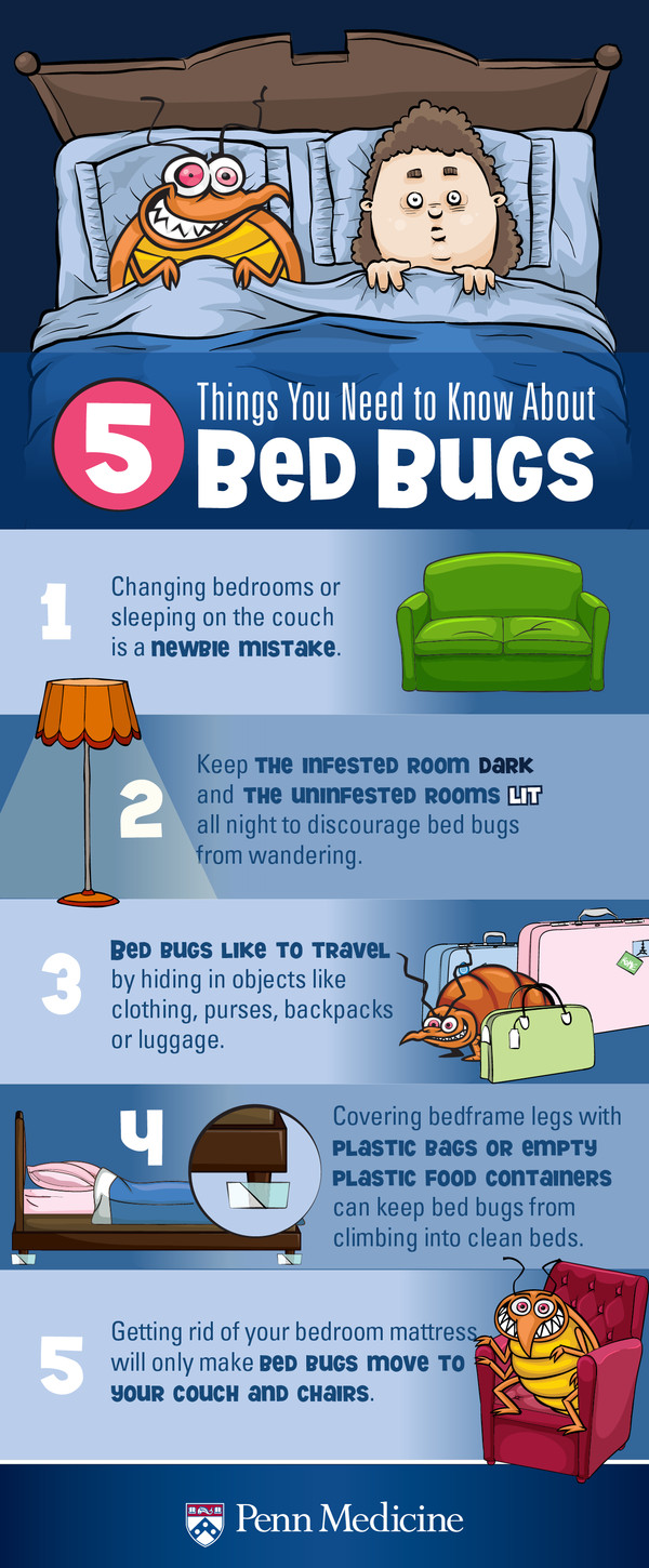 How To Treat Bed Bug Bites - Ask The Nurse Expert