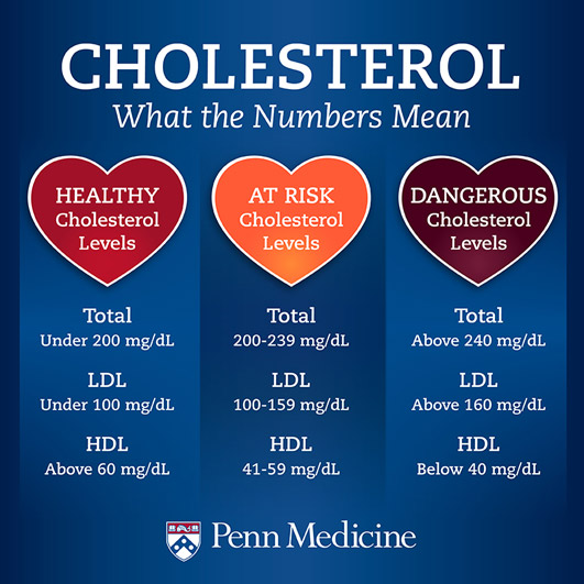 What Is A Healthy Cholesterol Level For You Penn Medicine   Cholesterol What Numbers Mean Graphic 1.ashx