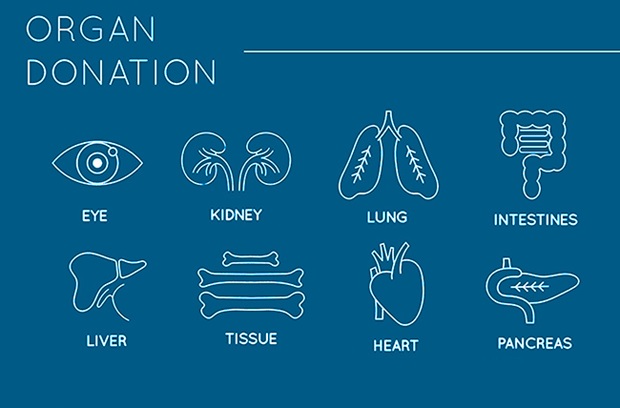 organ-donation-donor-network-of-arizona