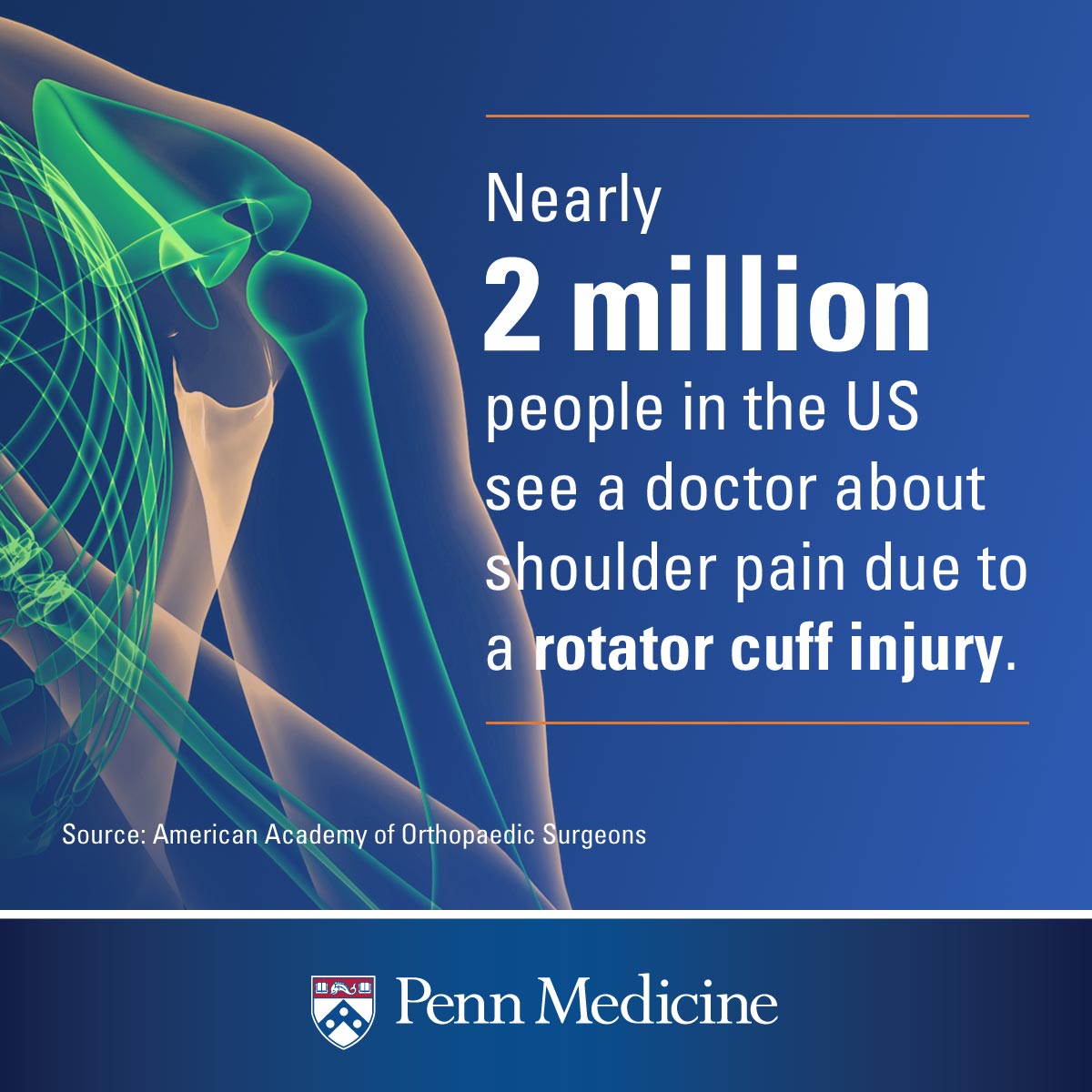 rotator cuff doctor