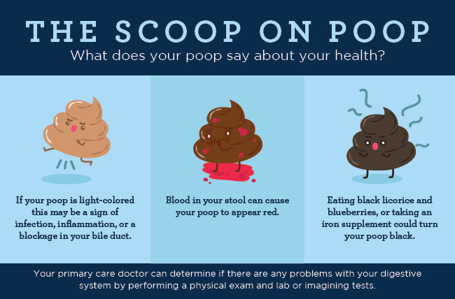 Poop Appearance The Scoop On Your Poop s Size Shape Color