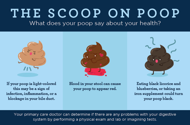 Poop Appearance The Scoop On Your Poop S Size Shape Color