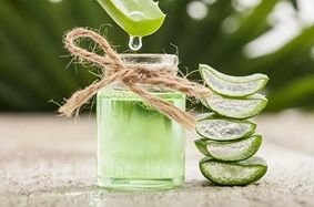 broken_pieces_of_aloe_stacked_on_top_of_each_other_next_to_mason_jar_of_aloe_gel_with_piece_dripping_into_it