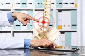 doctor looking at spine model