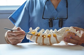 doctor looking at spine model