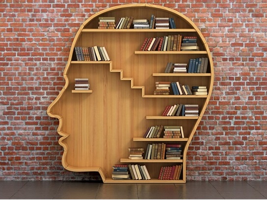 bookcase shaped like a brain