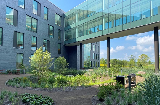 The inner courtyard of Penn Medicine Radnor featuring an abundance of native plants